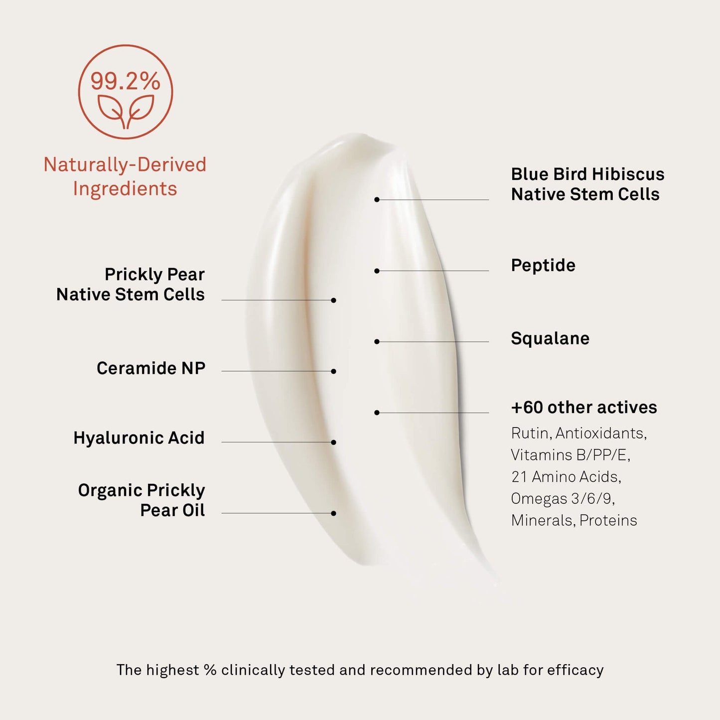 Bonjout Le Balm SKIN SAVIOR SOLID SERUM